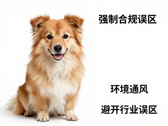 行业常见误区与错误操作解析