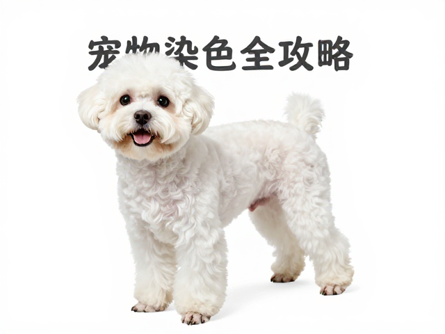 染后护理与色彩持久度维护