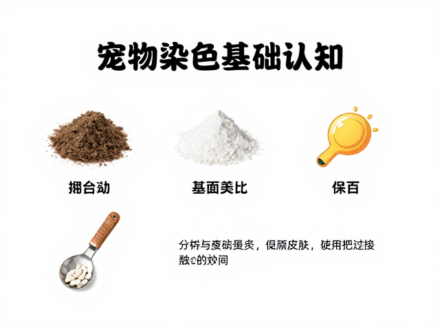 宠物染色基础认知,分区操作与避免皮肤长时间接触的安全指南