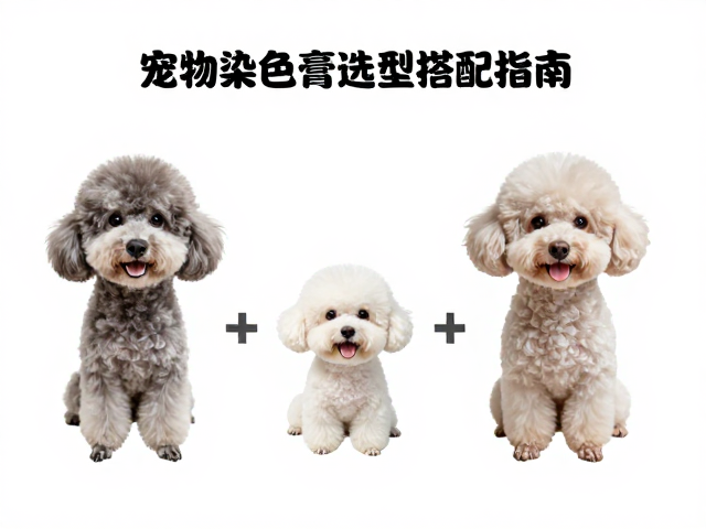 吹干定型对色彩固化的关键作用