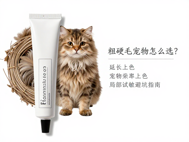 延长上色寿命的护理策略