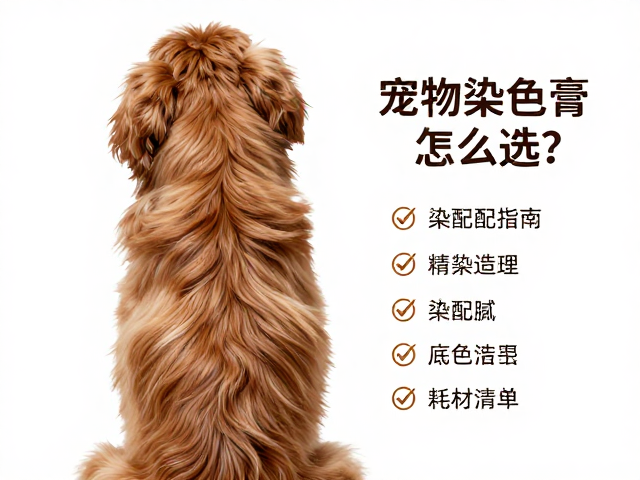 造型前的毛发预处理与底色管理