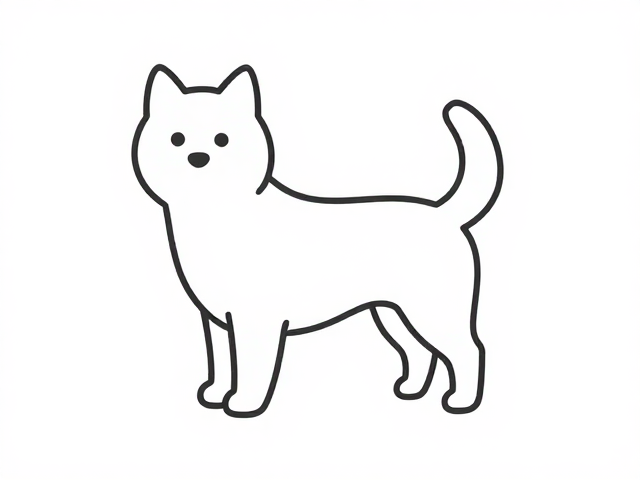 简约线条手绘造型的视觉逻辑