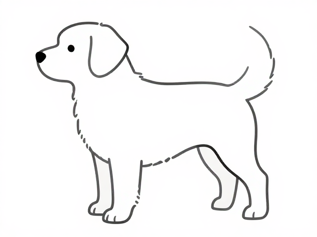 分步解析中型犬造型绘制