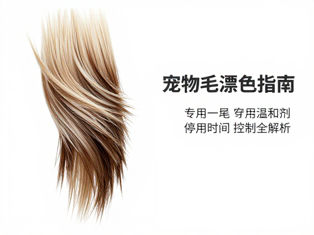 宠物尾巴毛发漂色指南,专用温和剂停留时间控制全解析