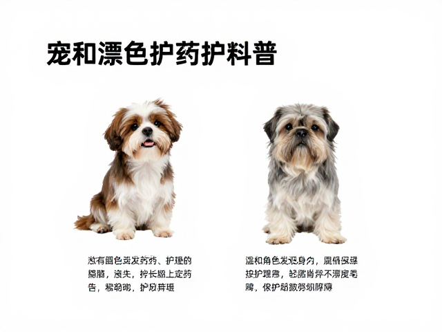 漂后日常维护与毛发强韧策略