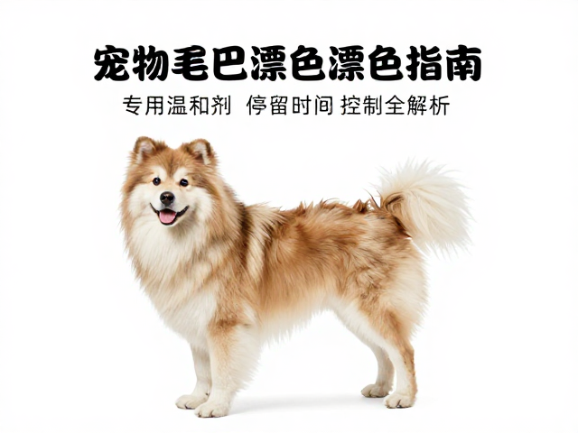 漂色后的护理与长期维护策略