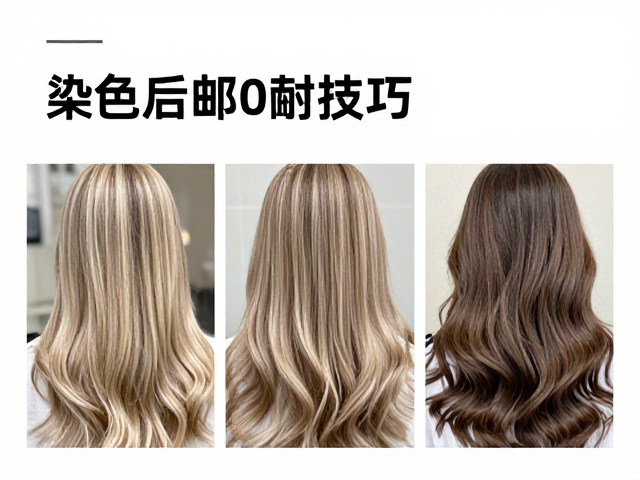 客户满意度提升策略