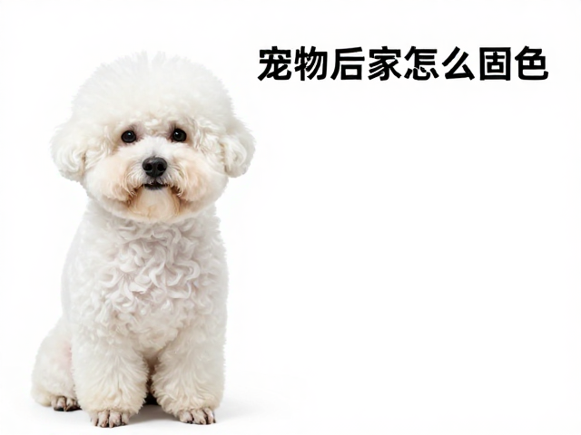 环境防护与生活习惯调整