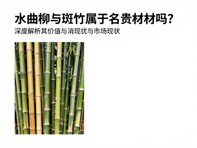 水曲柳与斑竹属于名贵木材吗?深度解析其价值与市场现状