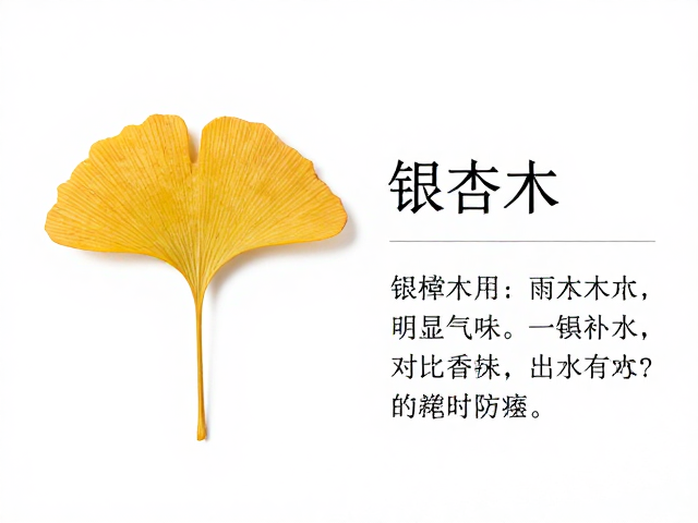 银杏木无明显气味吗？对比樟木鉴别与选购指南