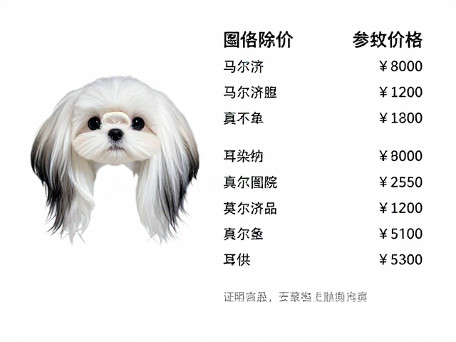 马尔济斯犬耳染渐变造型,复杂图案价格解析与氛围感指南
