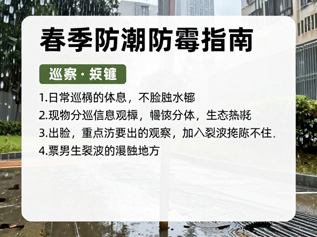 春季防潮防霉指南,日常巡检重点与细小裂纹观察技巧
