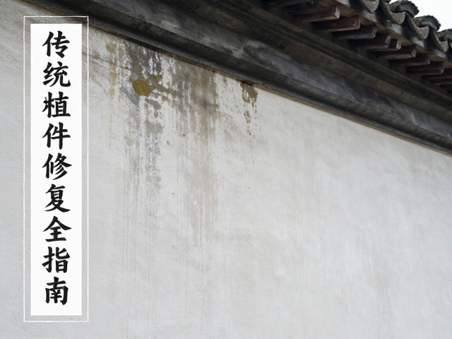 古建筑表面翻新与防霉封护，传统构件修复全指南
