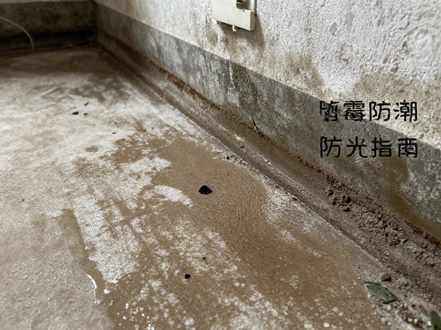 春季防潮防霉指南，避免阳光直射，做好关键防潮处理