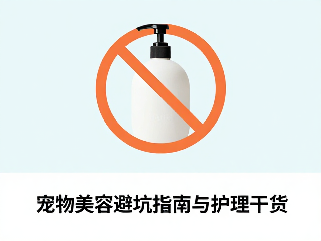 沐浴产品乱用误区?宠物美容避坑指南与护理干货