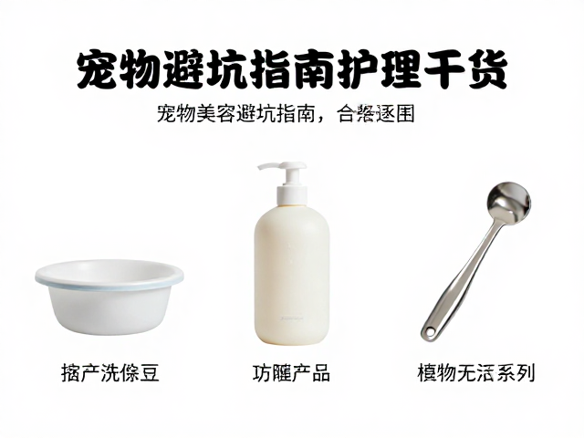 科学洗护的核心步骤与工具选择