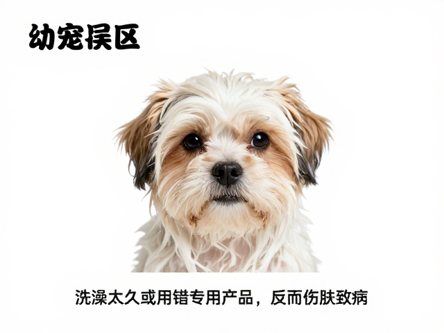 幼宠沐浴误区，洗澡太久或用错专用产品，反而伤肤致病