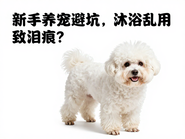 潜在疾病筛查与专业干预时机