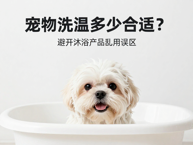 科学美容的操作细节与护理
