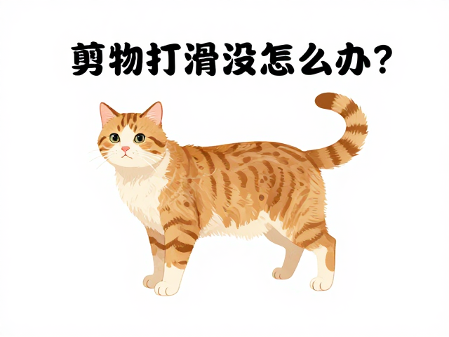 降低宠物焦虑的非药物干预策略