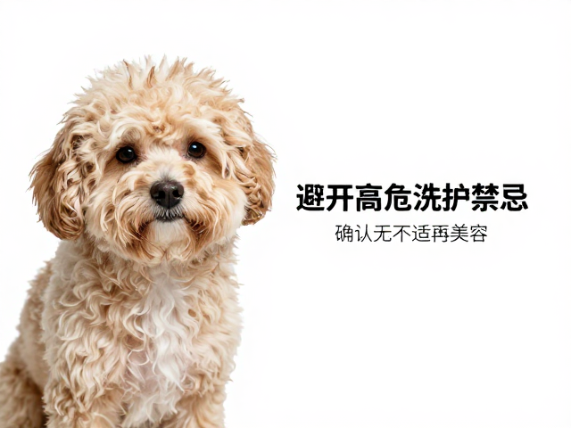 洗后护理与异常监测机制