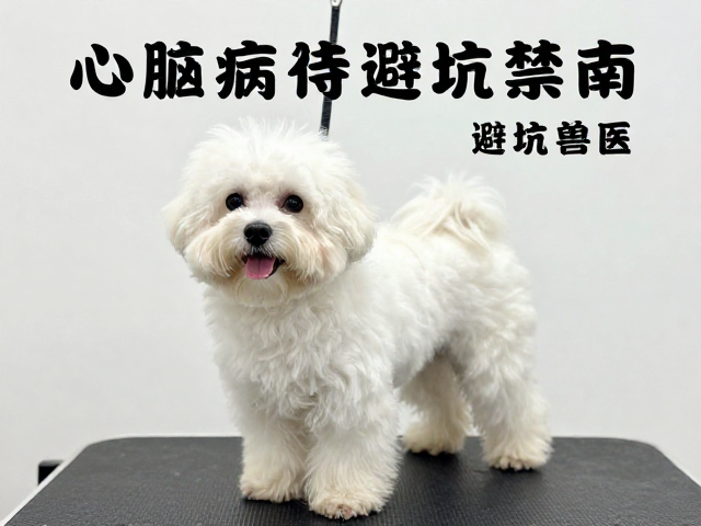 洗护环境设置与物理风险规避