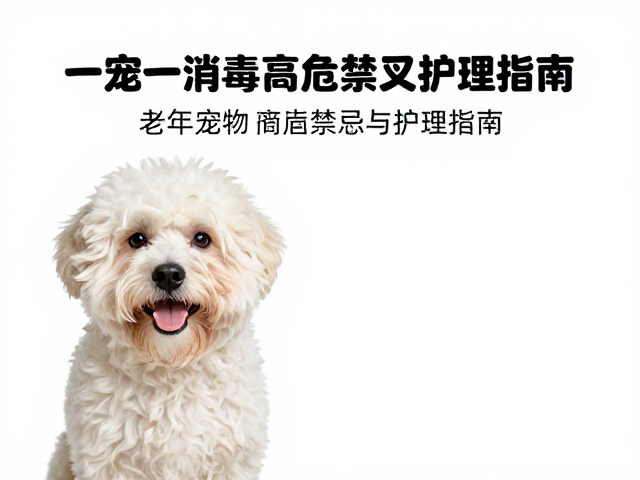 洗后护理与健康监测的关键细节