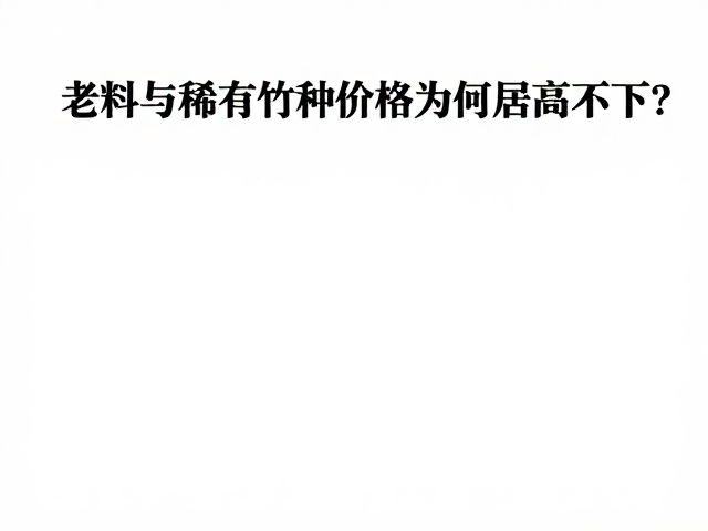 箬竹属于哪类竹材?老料与稀有竹种价格为何居高不下?