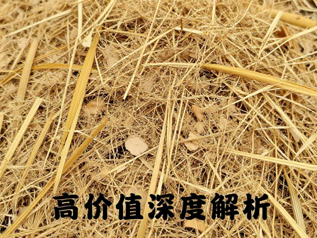 金竹竹根纤维紧密特性解析,高价值原料深度解读