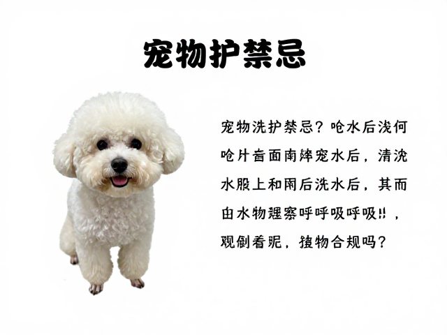 结合过往美容经历构建避坑指南