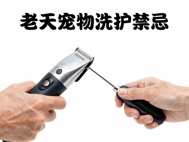 高危清洁部位与敏感区域避坑指南