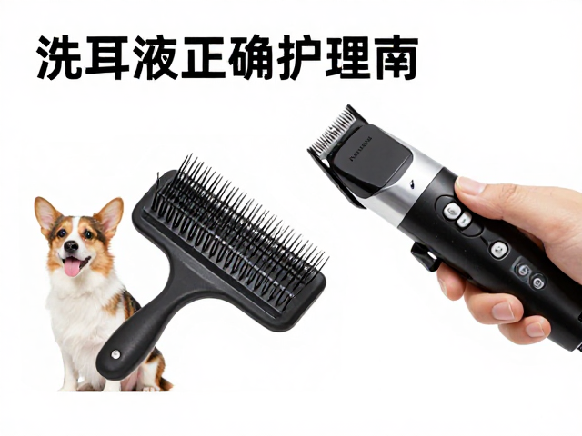 洗耳液的选择与标准化清洁步骤