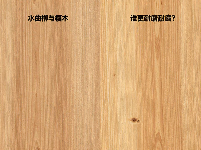 水曲柳与椴木对比,谁更耐磨耐腐?深度解析木材特性