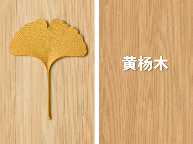 银杏木vs黄杨木vs软木,材质对比与选购指南
