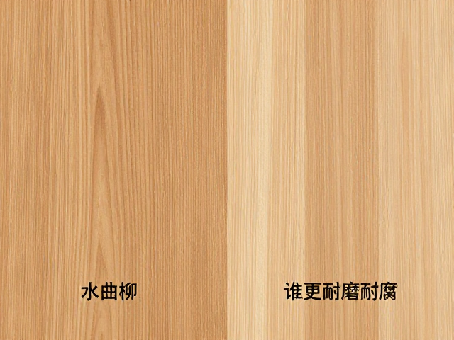水曲柳与椴木对比,谁更耐磨耐腐?深度解析木材特性