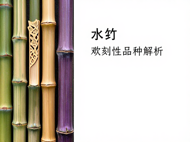 水竹与斑竹紫竹对比,竹木雕刻选材指南,高观赏性品种解析
