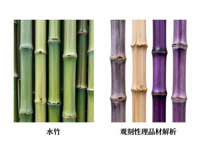 水竹与斑竹紫竹对比,竹木雕刻选材指南,高观赏性品种解析
