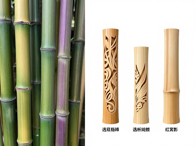 水竹与斑竹紫竹对比,竹木雕刻选材指南,高观赏性品种解析