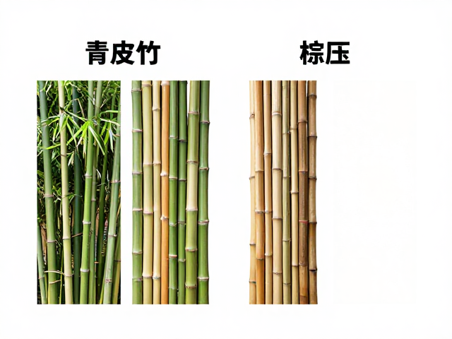 青皮竹与棕竹价格对比,拼压成板原料怎么选更省钱?