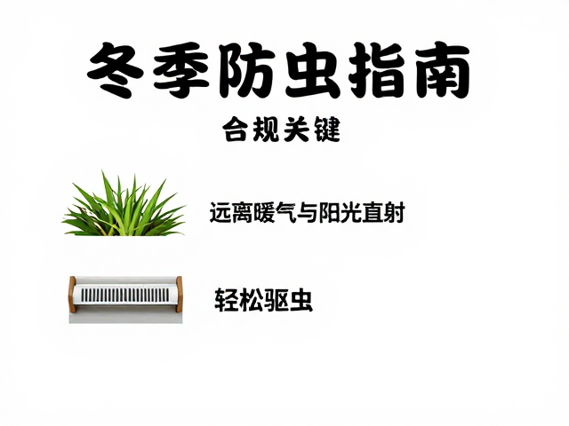 冬季防虫指南,远离暖气与阳光直射,轻松驱虫