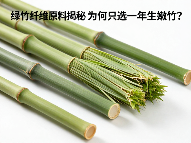 绿竹纤维原料揭秘,为何只选一年生嫩竹?