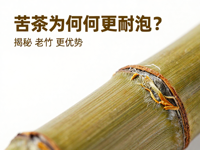 老竹料苦竹纤维紧密,好茶为何更耐泡?揭秘老竹茶核心优势