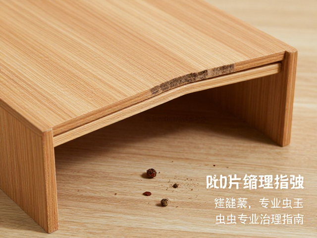 家具缩胀变形?防虫措施与虫蛀专业治理指南