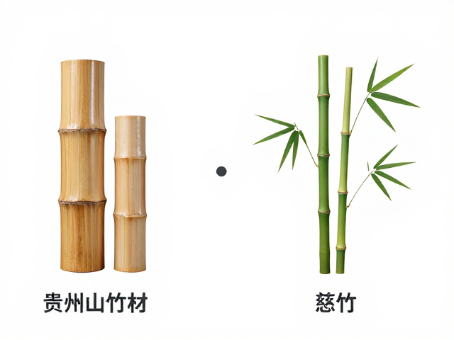 贵州山竹材与慈竹、箭竹区别?一文读懂竹材特性与用途