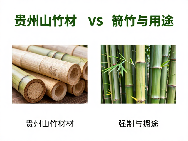 贵州山竹材与慈竹、箭竹区别?一文读懂竹材特性与用途