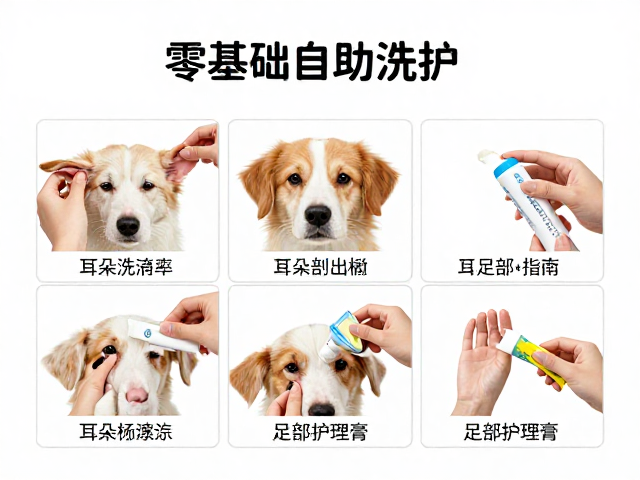 日常护理中的风险规避与观察要点