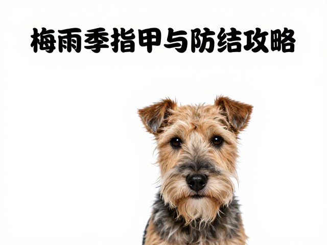 梗犬系列造型规范,梅雨季指甲修剪与防潮防结攻略