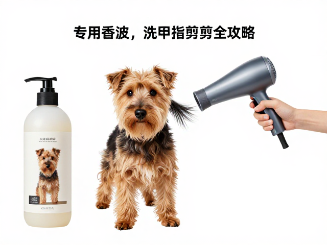 吹干技术与毛发定型技巧