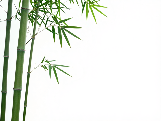 福禄寿竹,以竹之虚心有节,诠释朴素雅致的东方生活美学
